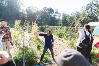 Mills社区农场管理 Julia Dashe戴稻帽并当着一群学生前向植物游览